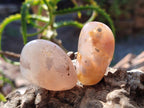 Polished Mini Flower Agate Free Forms x 35 From Antsahalova, Madagascar - Toprock Gemstones and Minerals 