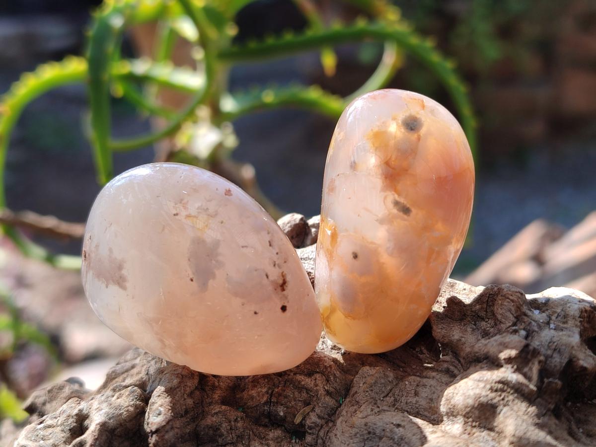 Polished Mini Flower Agate Free Forms x 35 From Antsahalova, Madagascar - Toprock Gemstones and Minerals 