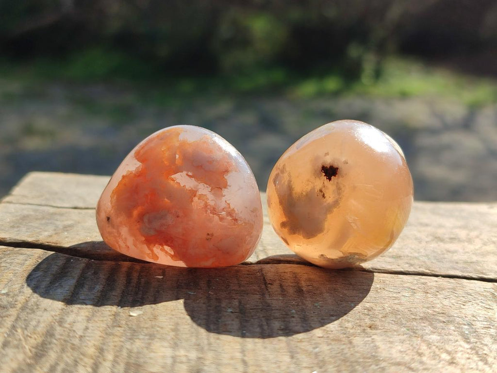 Polished Mini Flower Agate Free Forms x 35 From Antsahalova, Madagascar - Toprock Gemstones and Minerals 
