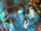 Polished Labradorite Standing Display Pieces x 3 From Madagascar - Toprock Gemstones and Minerals 