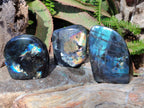 Polished Labradorite Standing Display Pieces x 3 From Madagascar - Toprock Gemstones and Minerals 