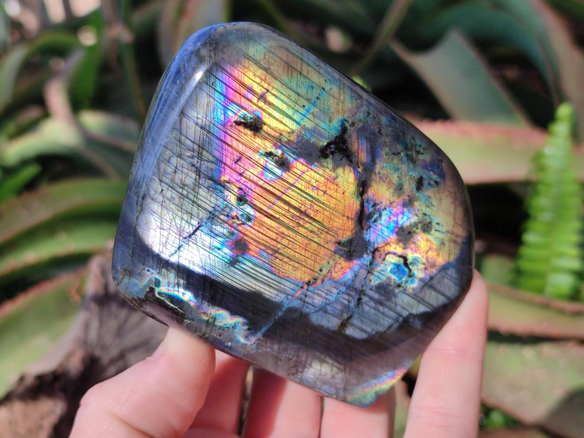 Polished Labradorite Standing Display Pieces x 3 From Madagascar - Toprock Gemstones and Minerals 