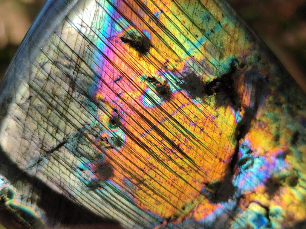 Polished Labradorite Standing Display Pieces x 3 From Madagascar - Toprock Gemstones and Minerals 