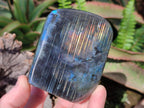 Polished Labradorite Standing Display Pieces x 3 From Madagascar - Toprock Gemstones and Minerals 