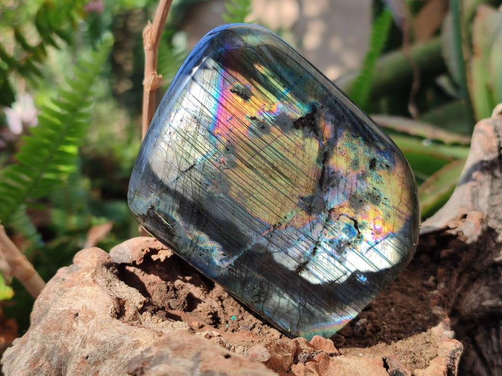 Polished Labradorite Standing Display Pieces x 3 From Madagascar - Toprock Gemstones and Minerals 