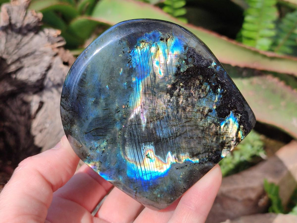 Polished Labradorite Standing Display Pieces x 3 From Madagascar - Toprock Gemstones and Minerals 