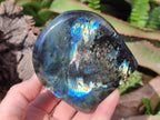 Polished Labradorite Standing Display Pieces x 3 From Madagascar - Toprock Gemstones and Minerals 