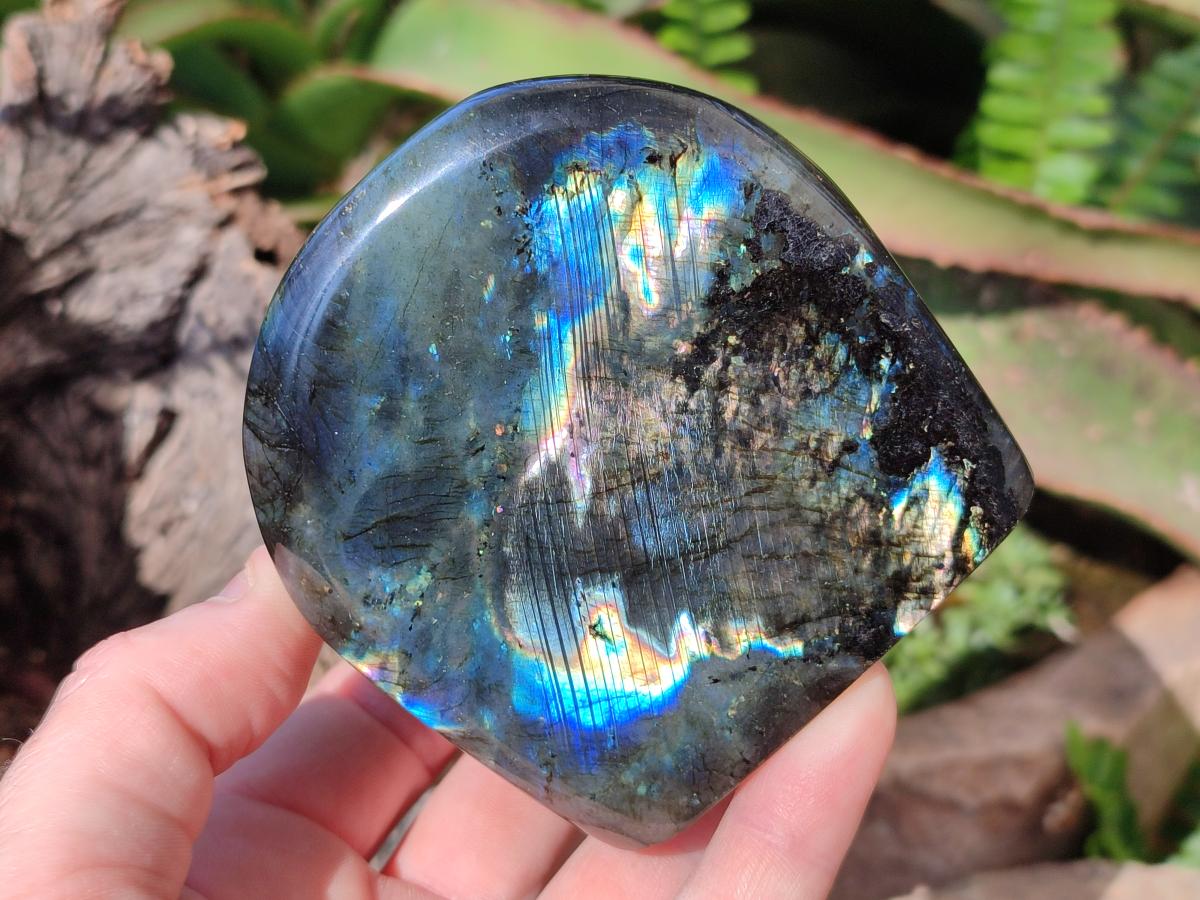 Polished Labradorite Standing Display Pieces x 3 From Madagascar - Toprock Gemstones and Minerals 