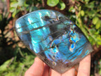 Polished Labradorite Standing Display Pieces x 3 From Madagascar - Toprock Gemstones and Minerals 