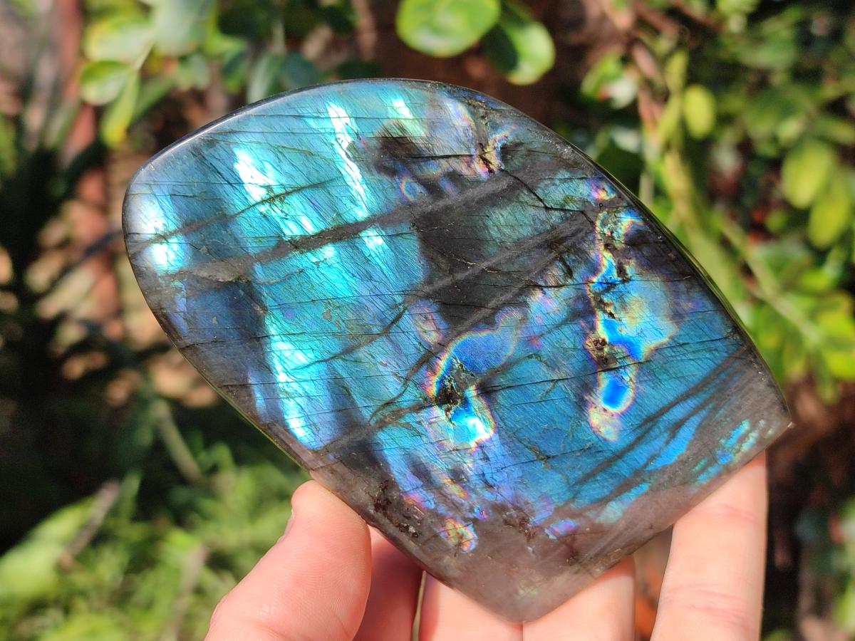 Polished Labradorite Standing Display Pieces x 3 From Madagascar - Toprock Gemstones and Minerals 