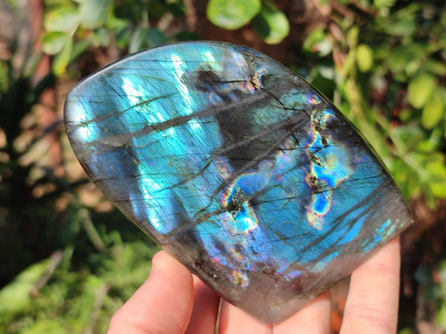Polished Labradorite Standing Display Pieces x 3 From Madagascar - Toprock Gemstones and Minerals 