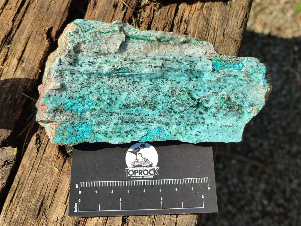 Natural Drusy Coated Chrysocolla Specimens with Heterogenite and Malachite x 3 From Lupoto Mine, Congo - Toprock Gemstones and Minerals 