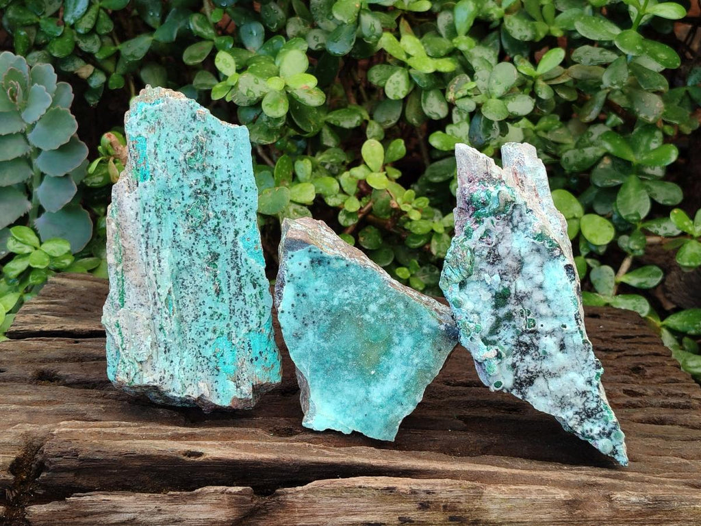 Natural Drusy Coated Chrysocolla Specimens with Heterogenite and Malachite x 3 From Lupoto Mine, Congo - Toprock Gemstones and Minerals 