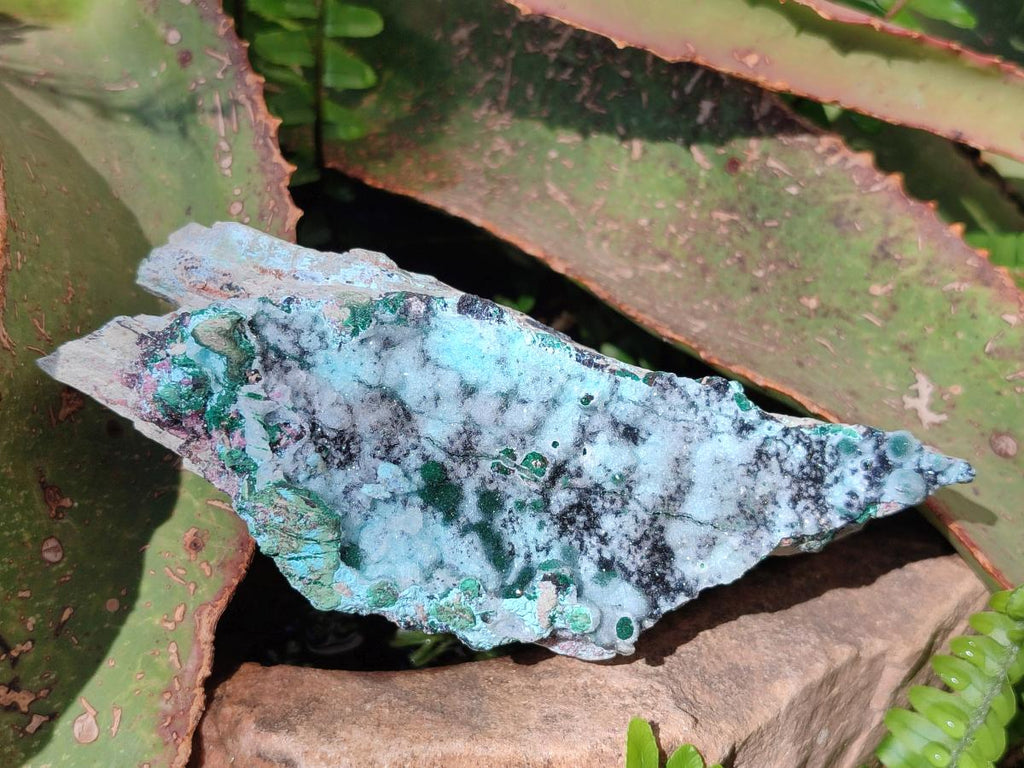 Natural Drusy Coated Chrysocolla Specimens with Heterogenite and Malachite x 3 From Lupoto Mine, Congo - Toprock Gemstones and Minerals 