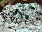 Natural Drusy Coated Chrysocolla Specimens with Heterogenite and Malachite x 3 From Lupoto Mine, Congo - Toprock Gemstones and Minerals 
