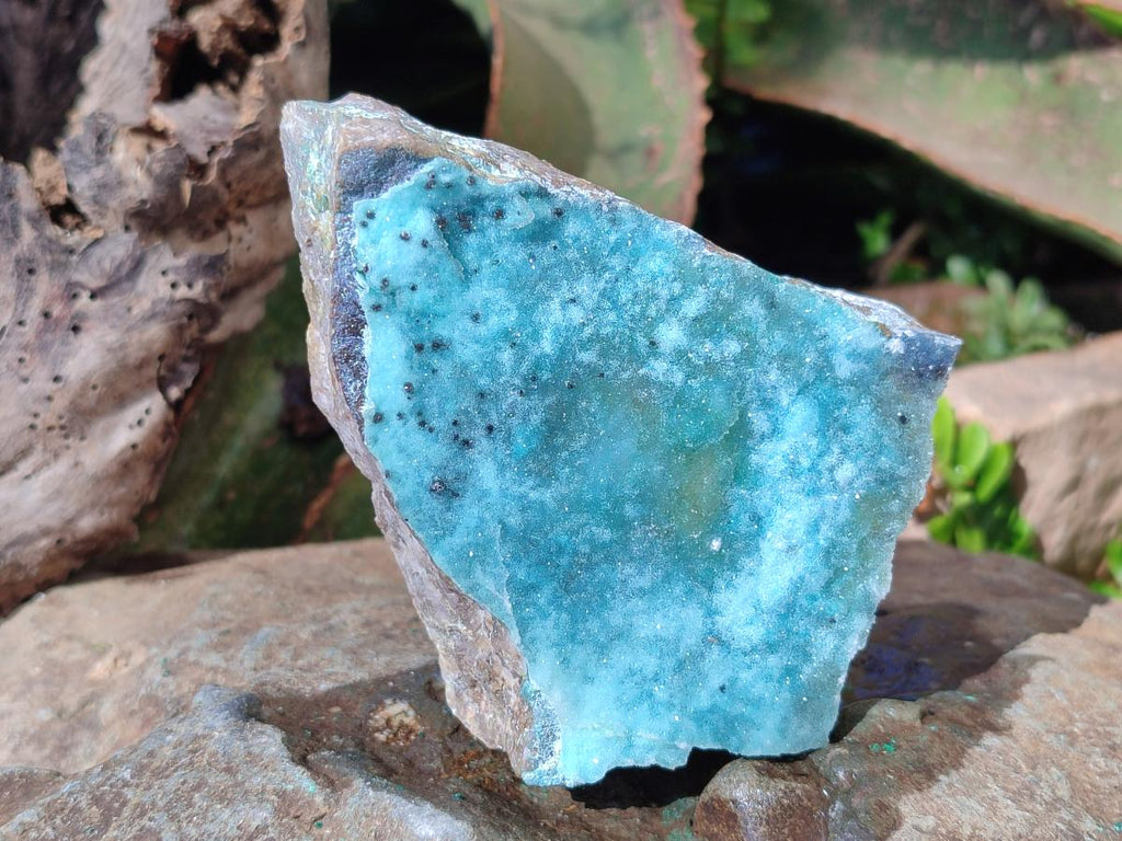 Natural Drusy Coated Chrysocolla Specimens with Heterogenite and Malachite x 3 From Lupoto Mine, Congo - Toprock Gemstones and Minerals 