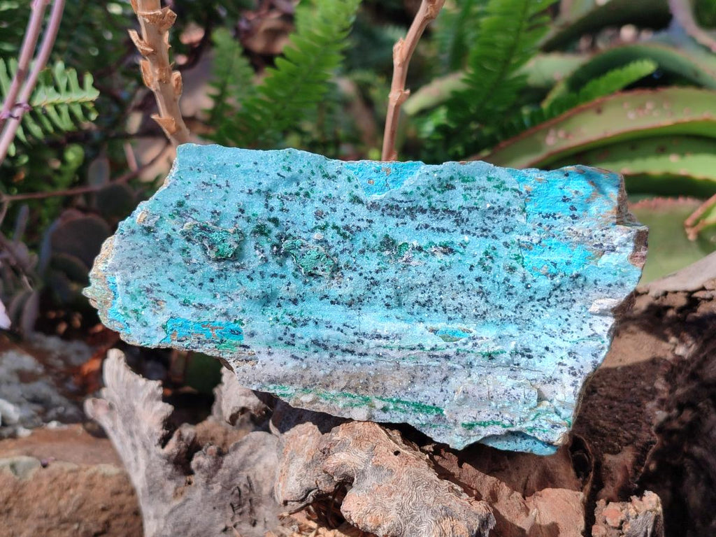 Natural Drusy Coated Chrysocolla Specimens with Heterogenite and Malachite x 3 From Lupoto Mine, Congo - Toprock Gemstones and Minerals 