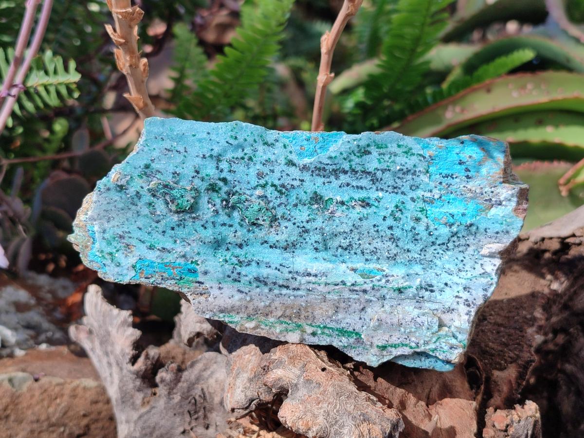 Natural Drusy Coated Chrysocolla Specimens with Heterogenite and Malachite x 3 From Lupoto Mine, Congo - Toprock Gemstones and Minerals 