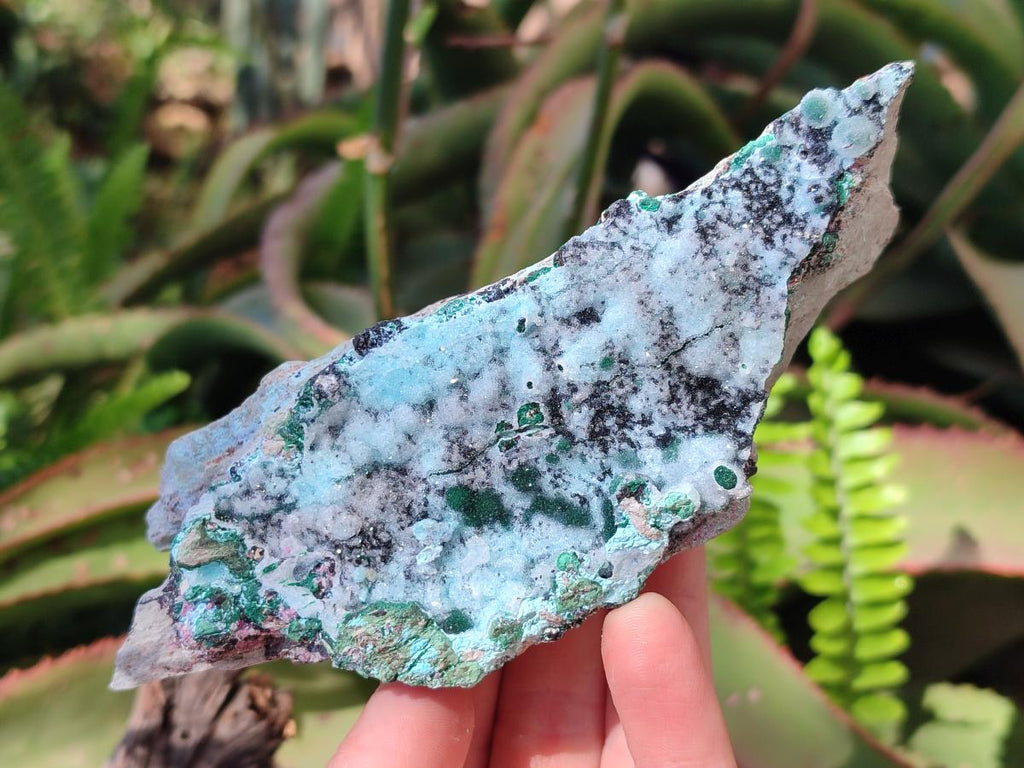 Natural Drusy Coated Chrysocolla Specimens with Heterogenite and Malachite x 3 From Lupoto Mine, Congo - Toprock Gemstones and Minerals 