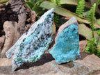 Natural Drusy Coated Chrysocolla Specimens with Heterogenite and Malachite x 3 From Lupoto Mine, Congo - Toprock Gemstones and Minerals 