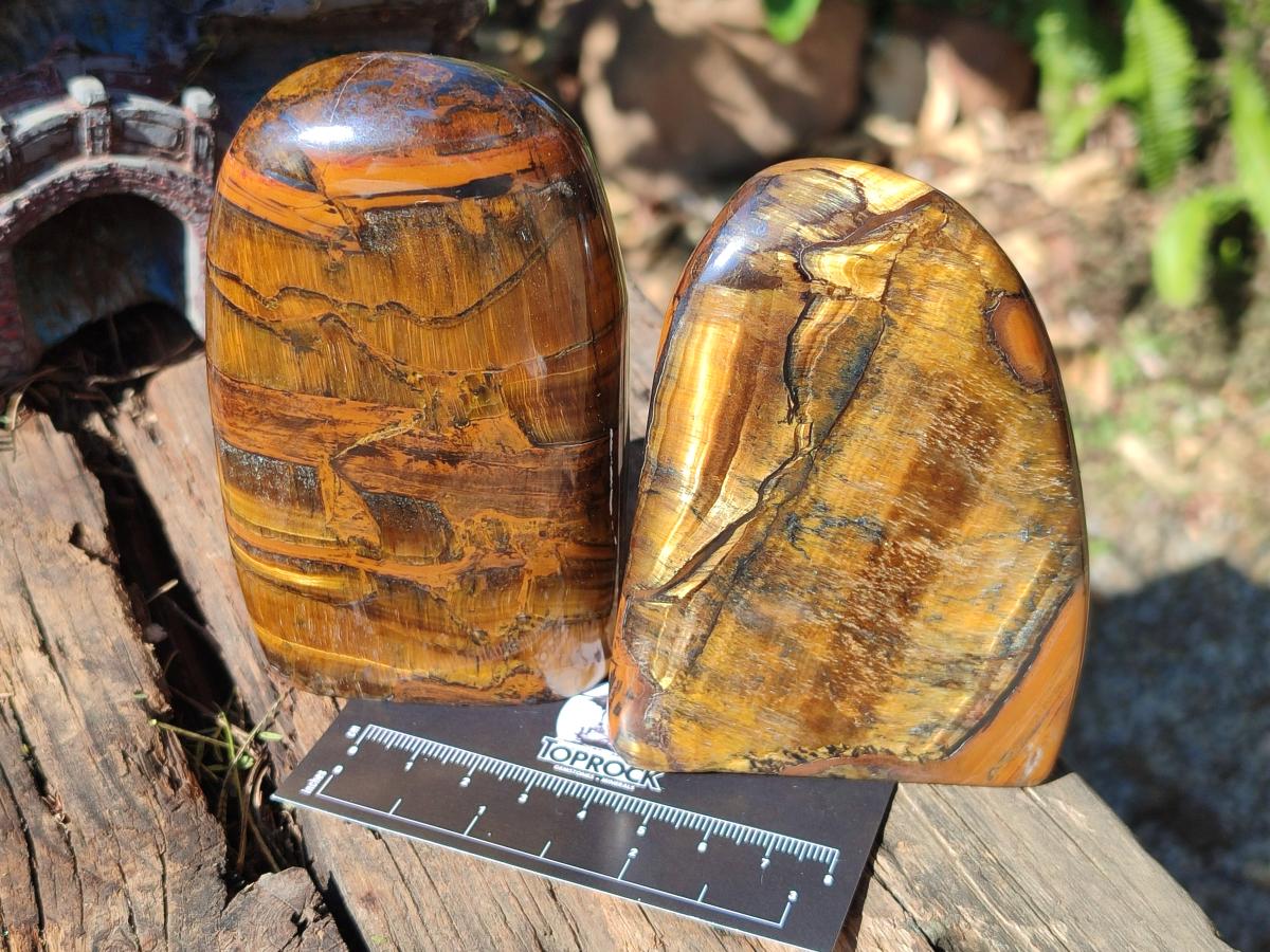Polished Golden Tigers Eye Display Pieces x 3 From Prieska, South Africa - Toprock Gemstones and Minerals 