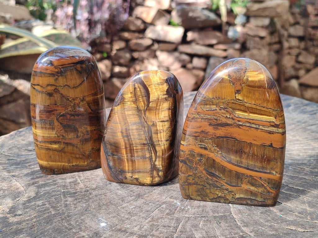 Polished Golden Tigers Eye Display Pieces x 3 From Prieska, South Africa - Toprock Gemstones and Minerals 