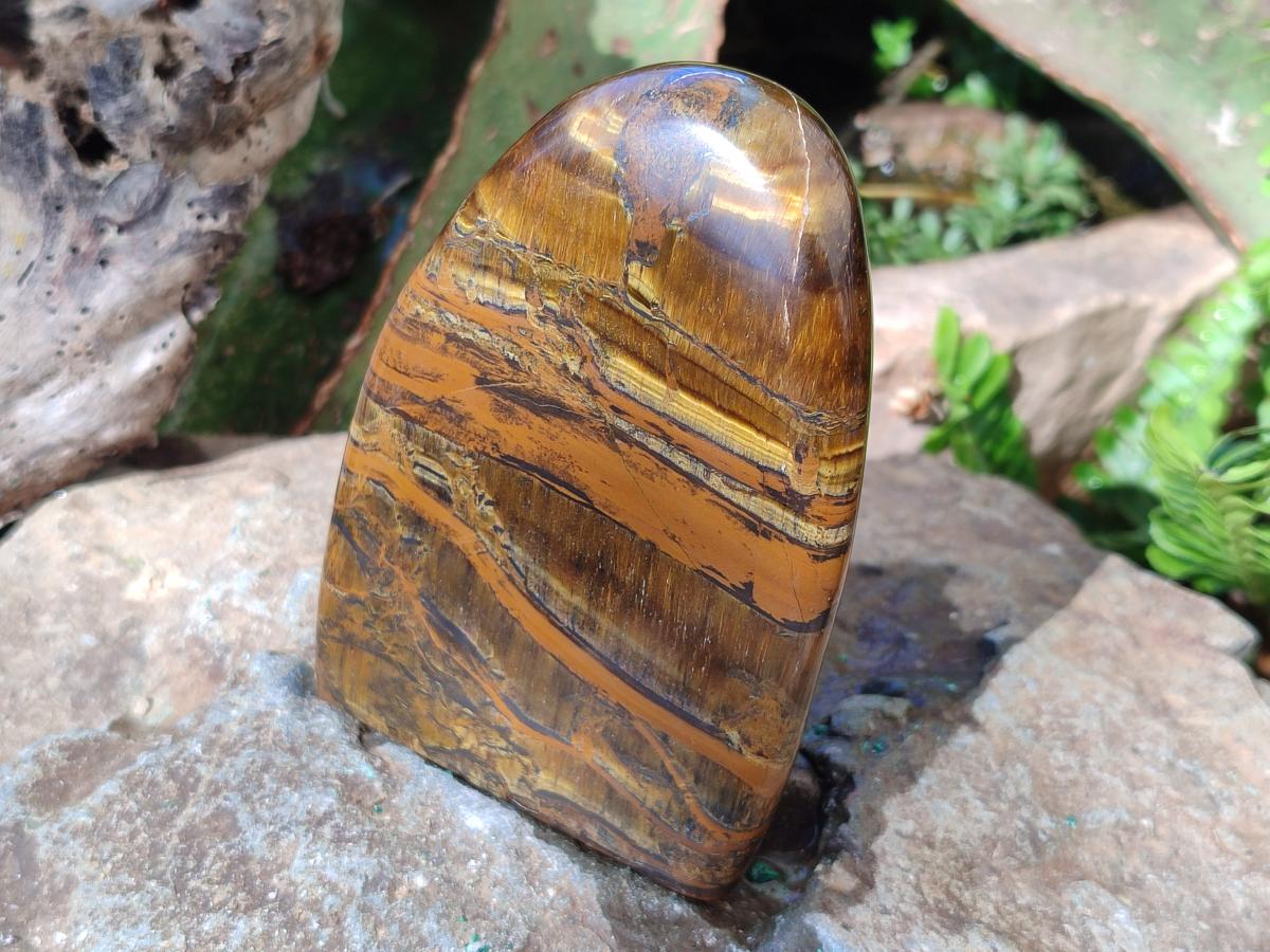 Polished Golden Tigers Eye Display Pieces x 3 From Prieska, South Africa - Toprock Gemstones and Minerals 