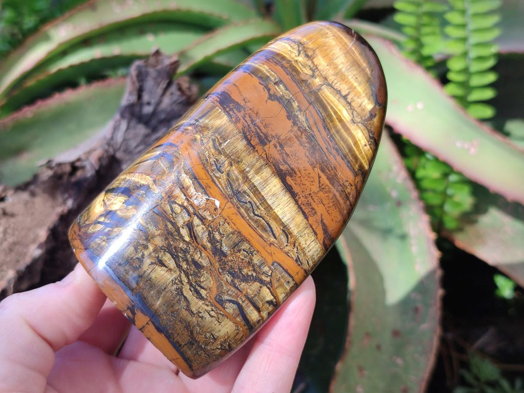 Polished Golden Tigers Eye Display Pieces x 3 From Prieska, South Africa - Toprock Gemstones and Minerals 