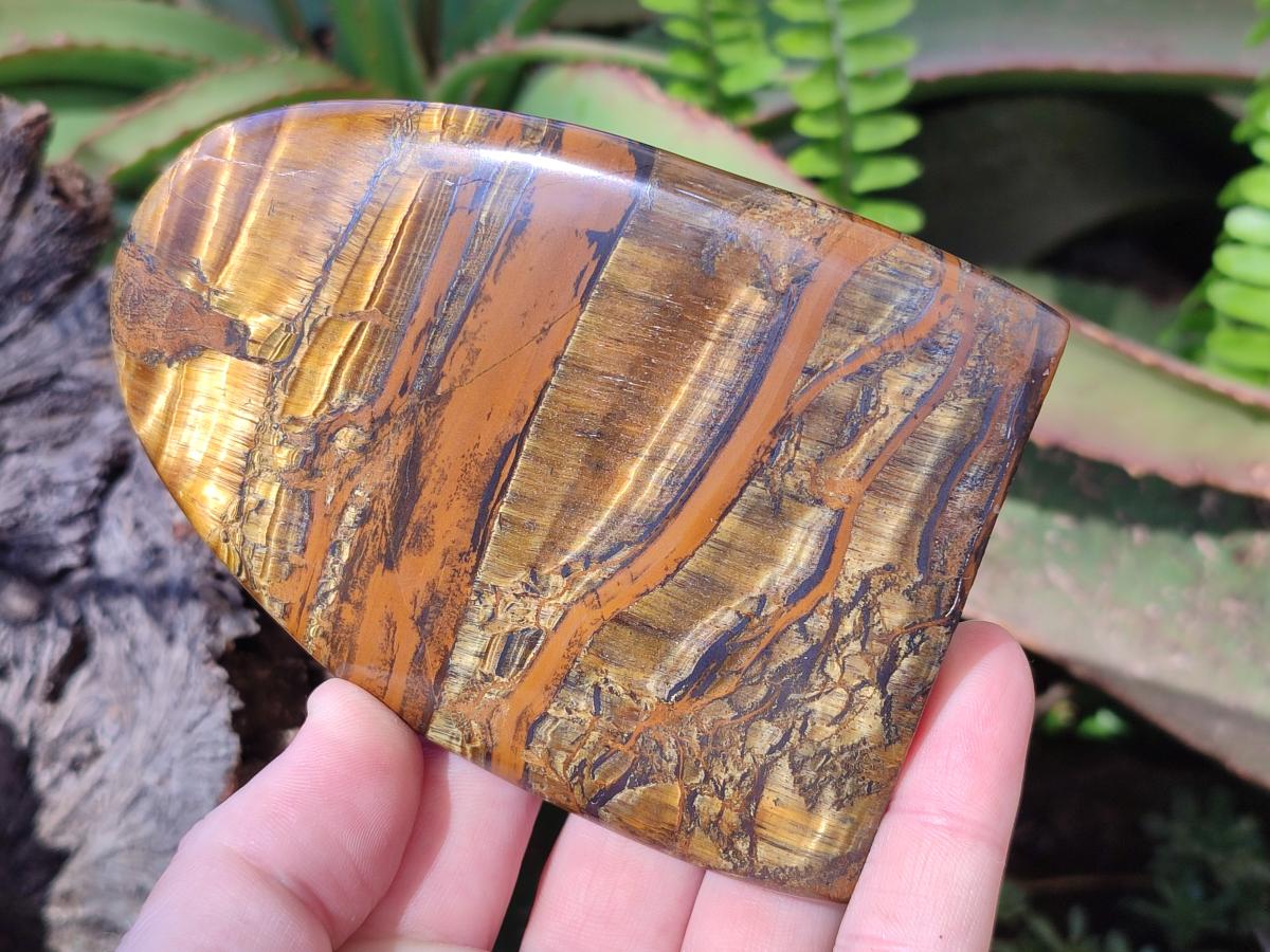Polished Golden Tigers Eye Display Pieces x 3 From Prieska, South Africa - Toprock Gemstones and Minerals 