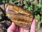 Polished Golden Tigers Eye Display Pieces x 3 From Prieska, South Africa - Toprock Gemstones and Minerals 