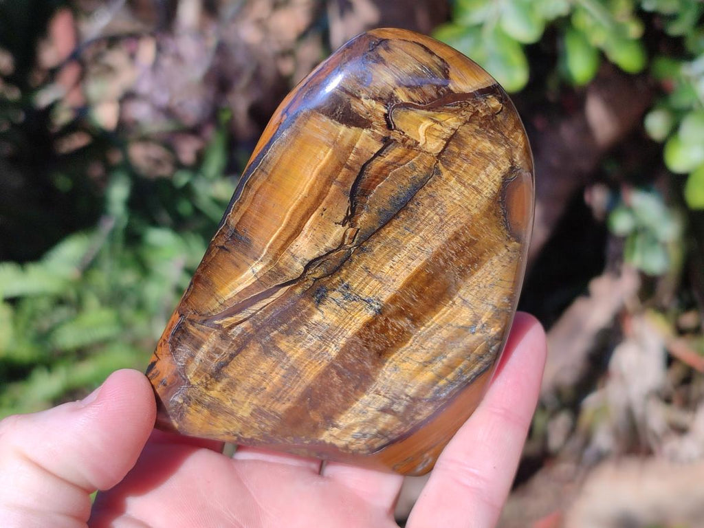 Polished Golden Tigers Eye Display Pieces x 3 From Prieska, South Africa - Toprock Gemstones and Minerals 