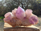 Natural Jacaranda Amethyst Crystal Clusters x 3 From Mumbwa, Zambia - Toprock Gemstones and Minerals 