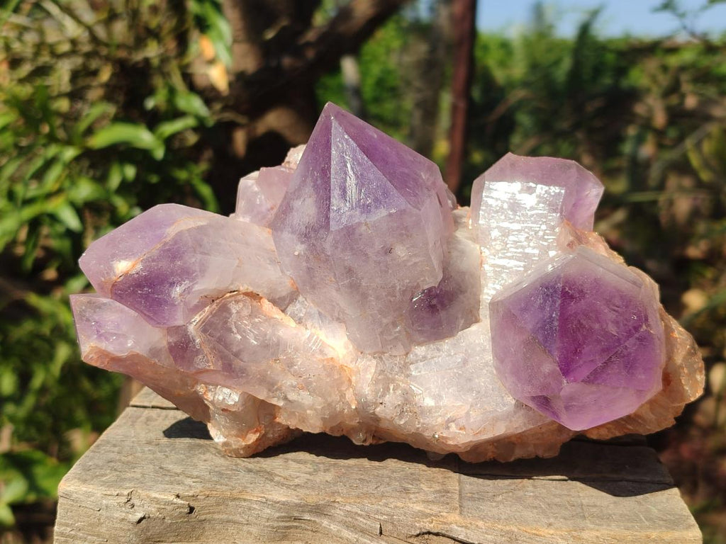 Natural Jacaranda Amethyst Crystal Clusters x 3 From Mumbwa, Zambia - Toprock Gemstones and Minerals 