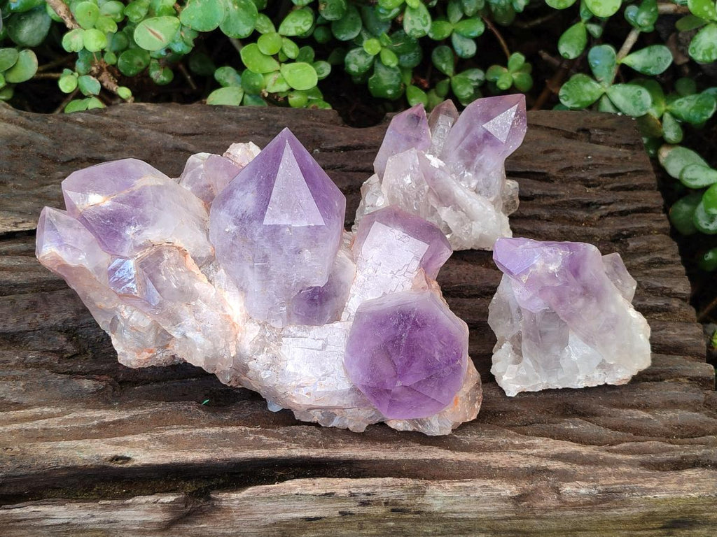 Natural Jacaranda Amethyst Crystal Clusters x 3 From Mumbwa, Zambia - Toprock Gemstones and Minerals 