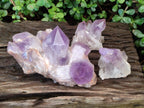 Natural Jacaranda Amethyst Crystal Clusters x 3 From Mumbwa, Zambia - Toprock Gemstones and Minerals 