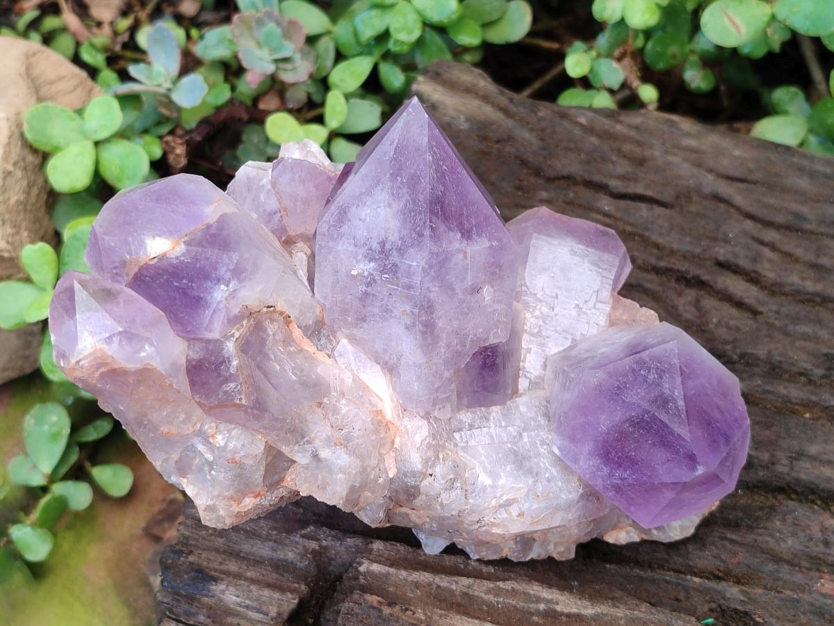 Natural Jacaranda Amethyst Crystal Clusters x 3 From Mumbwa, Zambia - Toprock Gemstones and Minerals 