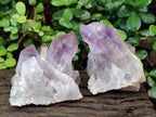Natural Jacaranda Amethyst Crystal Clusters x 3 From Mumbwa, Zambia - Toprock Gemstones and Minerals 