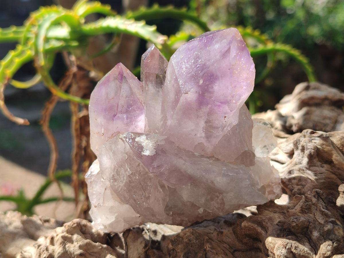 Natural Jacaranda Amethyst Crystal Clusters x 3 From Mumbwa, Zambia - Toprock Gemstones and Minerals 