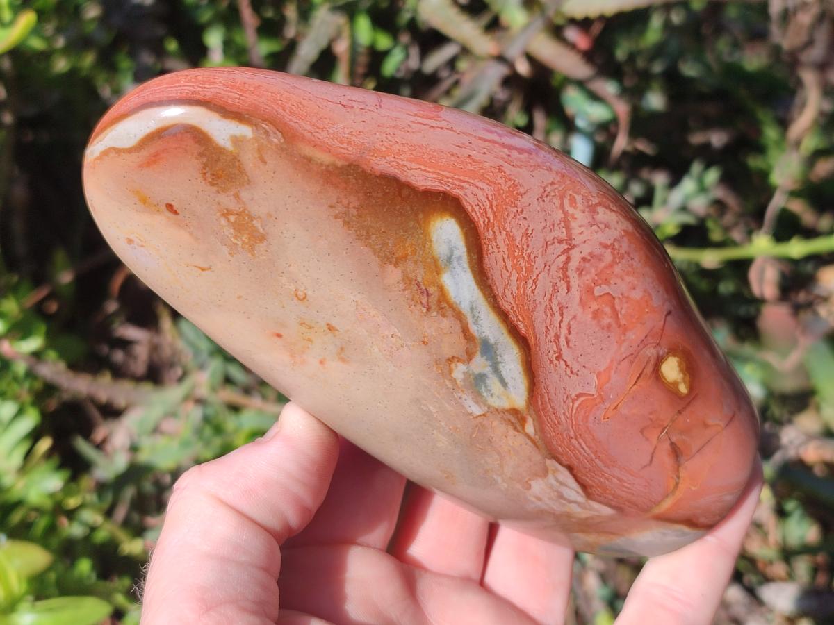 Polished Polychrome Jasper Standing Display Pieces x 3 From Androka, Madagascar - Toprock Gemstones and Minerals 