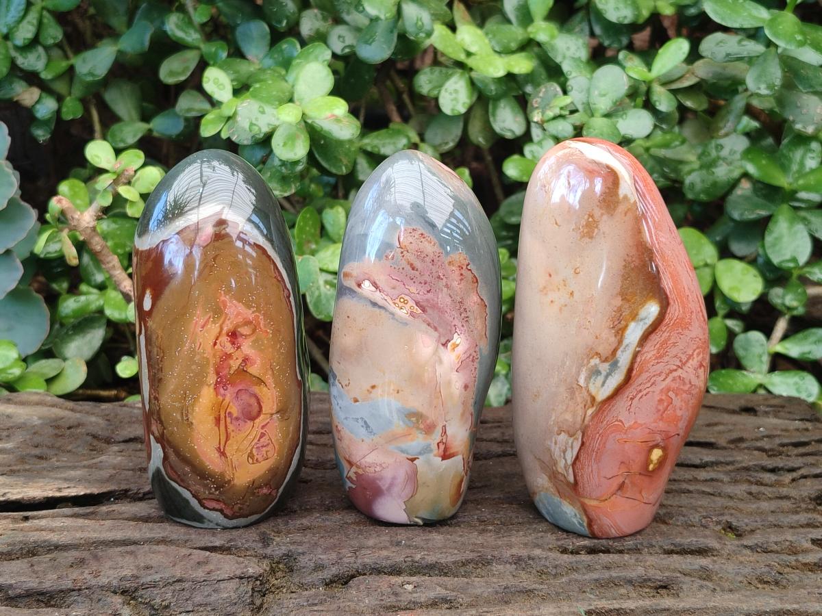 Polished Polychrome Jasper Standing Display Pieces x 3 From Androka, Madagascar - Toprock Gemstones and Minerals 