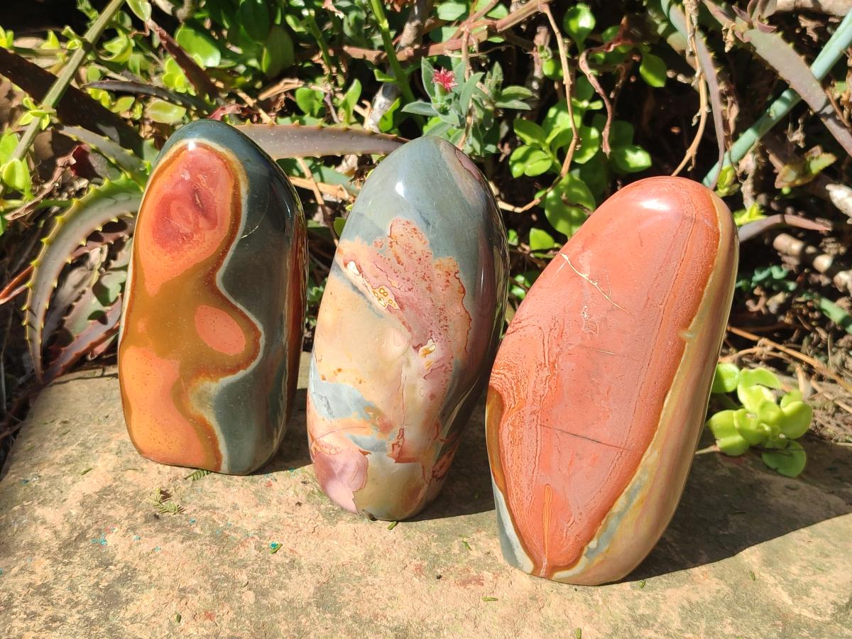 Polished Polychrome Jasper Standing Display Pieces x 3 From Androka, Madagascar - Toprock Gemstones and Minerals 