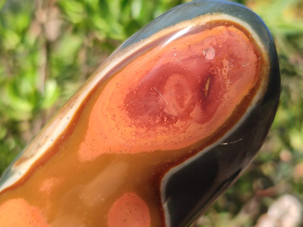 Polished Polychrome Jasper Standing Display Pieces x 3 From Androka, Madagascar - Toprock Gemstones and Minerals 