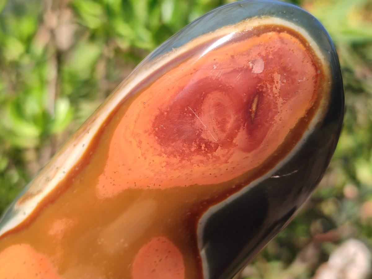 Polished Polychrome Jasper Standing Display Pieces x 3 From Androka, Madagascar - Toprock Gemstones and Minerals 