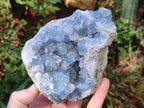 Natural Blue Celestite Geode Specimens x 2 From Sakoany, Madagascar - Toprock Gemstones and Minerals 