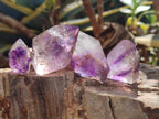 Polished Dark Purple Window Amethyst Crystals x 20 From Akansobe, Madagascar - Toprock Gemstones and Minerals 