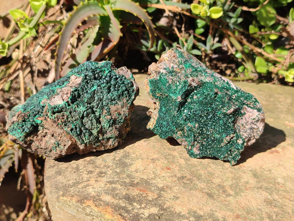 Natural Botryoidal Crystalline Malachite Specimens x 12 From Tenke Fungurume, Congo - Toprock Gemstones and Minerals 