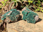 Natural Botryoidal Crystalline Malachite Specimens x 12 From Tenke Fungurume, Congo - Toprock Gemstones and Minerals 