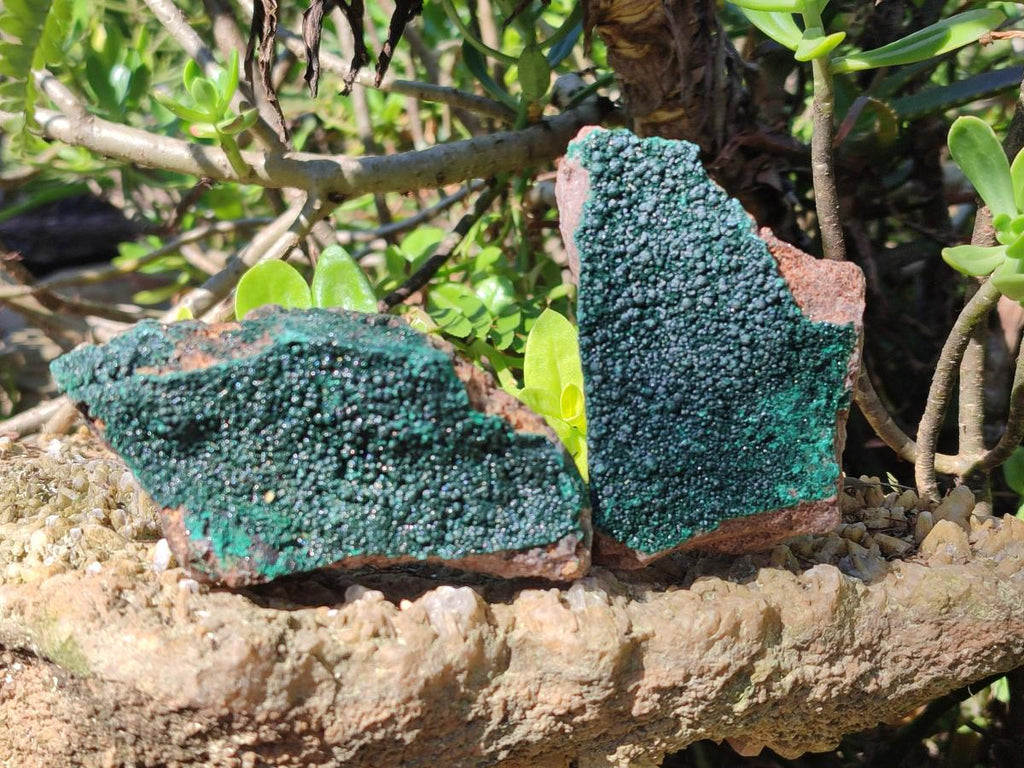 Natural Botryoidal Crystalline Malachite Specimens x 12 From Tenke Fungurume, Congo - Toprock Gemstones and Minerals 