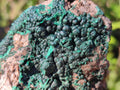 Natural Botryoidal Crystalline Malachite Specimens x 12 From Tenke Fungurume, Congo - Toprock Gemstones and Minerals 