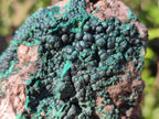 Natural Botryoidal Crystalline Malachite Specimens x 12 From Tenke Fungurume, Congo - Toprock Gemstones and Minerals 